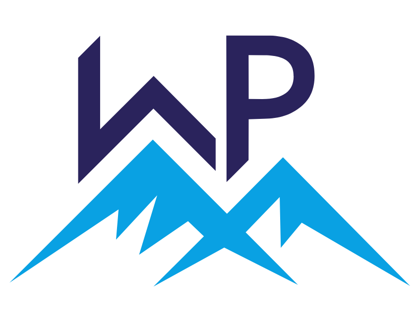 WP Meister Logo menue 845x650 1